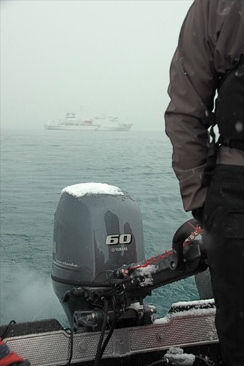 Heading to shore, Salisbury Plain, S. Georgia