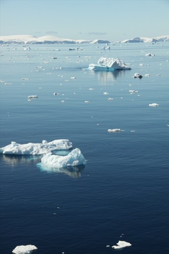 Brash ice, Fournier Bay
