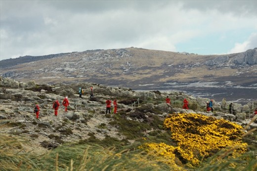 Gypsy Cove, our firsst time ashore, Falkland Islands
