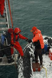 Loading the Zodiacs isn't always easy: by vagabonds, Views[601]