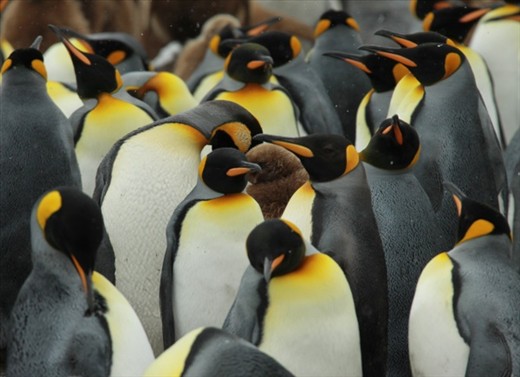 We couldn't help ourselves