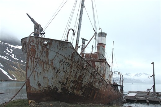 Whaling ship Petrel, Grytziken