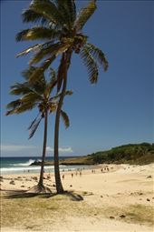 Sandy Beach at Ahu Tau a Ure, Easter island: by vagabonds, Views[732]