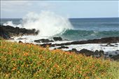Easter Island: by vagabonds, Views[1650]