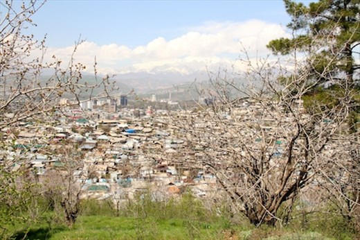 Dushanbe from WW II park