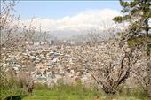 Dushanbe from WW II park: by vagabonds3, Views[416]