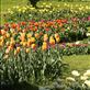 Botanic Garden, Dushanbe Views[378]