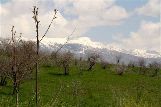 Dushanbe, surrounded by snowy mountains