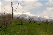 Dushanbe, surrounded by snowy mountains: by vagabonds3, Views[374]