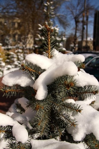 Bishkek snow — again!