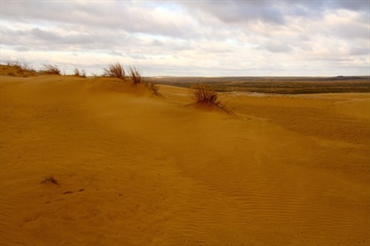 80% of Turkmenistan is desert