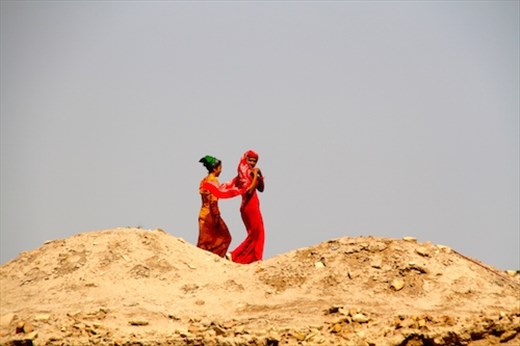 Desert flowers, Merv
