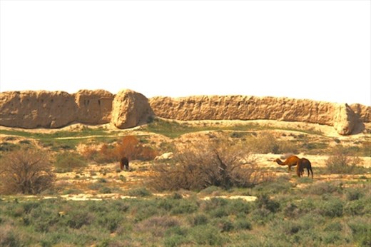 Camels and walls, Merv