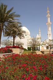 Sheikh Zayad Grand Mosque, Abu Dhabi: by vagabonds3, Views[1060]