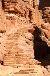 Eight hundred steps to the Monastery, Petra: by vagabonds3, Views[334]