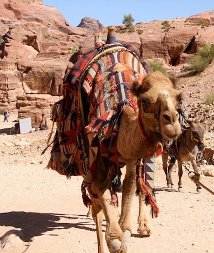 Here's looking at you, Kid, Petra