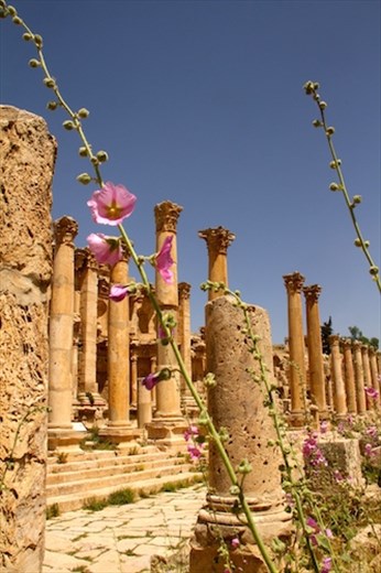 So many columns, Jerash