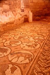 Mosaics, Petra: by vagabonds3, Views[333]