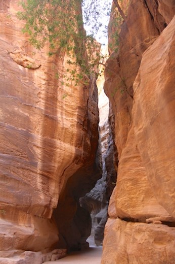Walking through the siq, Petra