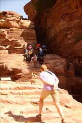 You can walk...or sit on your ass: by vagabonds3, Views[378]