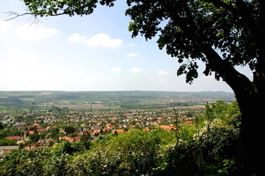 Hungarian town from above