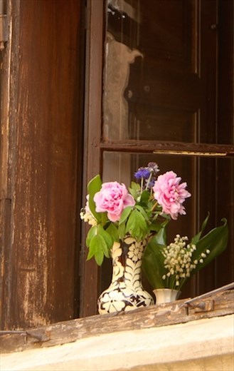 Flowers in the window, Pecs