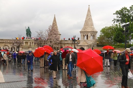 A Rainy Day in Buda, Budapest