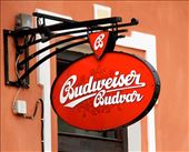 The original: by vagabonds3, Views[344]