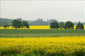 Czech countryside: by vagabonds3, Views[408]