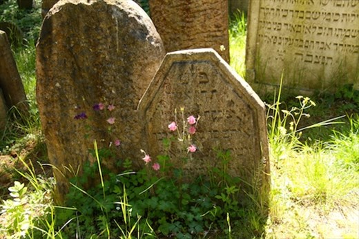 Jewish Cemetery, Tribec