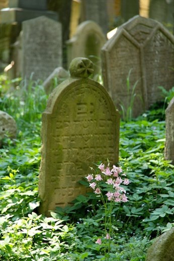 Jewish Cemetery, Tribec