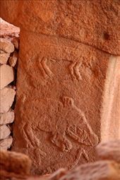Temple carvings, Gobekli Tepe: by vagabonds3, Views[378]