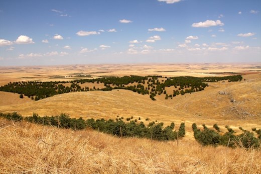 Gobekli Tepe, Fertile Crescent, not far from Syria