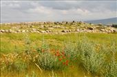 Hattusa ruins: by vagabonds3, Views[253]
