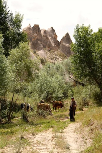 Cowherd — the only person we saw,, Firinasma Valley