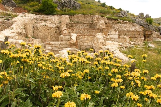 Ruins and flowers, Sagalossos