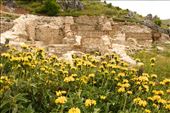 Ruins and flowers, Sagalossos: by vagabonds3, Views[386]