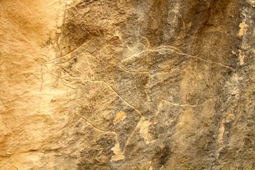 Auroch, ancient cattle, Gobustan Archeological Park
