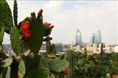Cactus garden, Baku: by vagabonds3, Views[511]