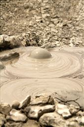 Ready to pop, Mud Volcano: by vagabonds3, Views[431]