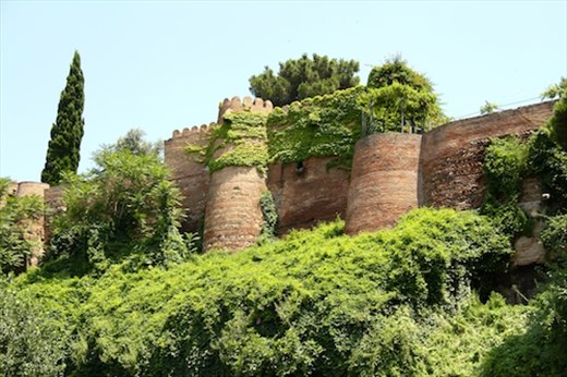 Ivy covered city walls, Old Town Tbilisi