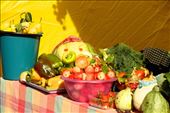 Harvest festival, Uglich: by vagabonds3, Views[348]