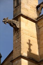 Gargoyle and cross, Notre Dame, Beaune: by vagabonds3, Views[157]