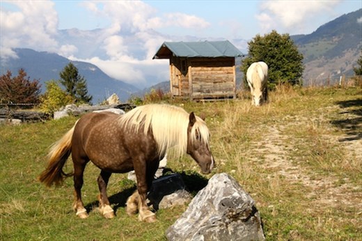 The French Alps at Courchevel