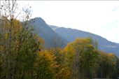 Fall colors, Megeve: by vagabonds3, Views[148]