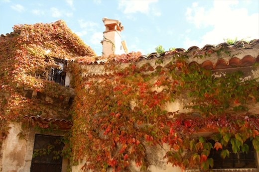 Fall colors, Eze