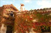 Fall colors, Eze: by vagabonds3, Views[124]