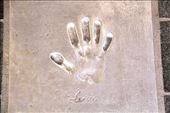 Sophia Loren's handprint, Cannes: by vagabonds3, Views[235]