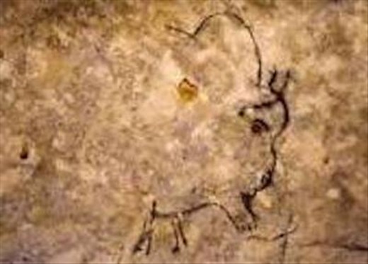 Bison, Grotto Rouffignac (from photo)