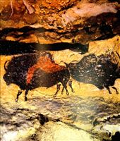 Bison, Lascaux II (from photo): by vagabonds3, Views[172]